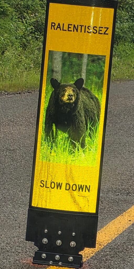 Sur cette route, ce panneau indique la présence d'ours qui représente un danger, mais nous n'en avons pas croisé.