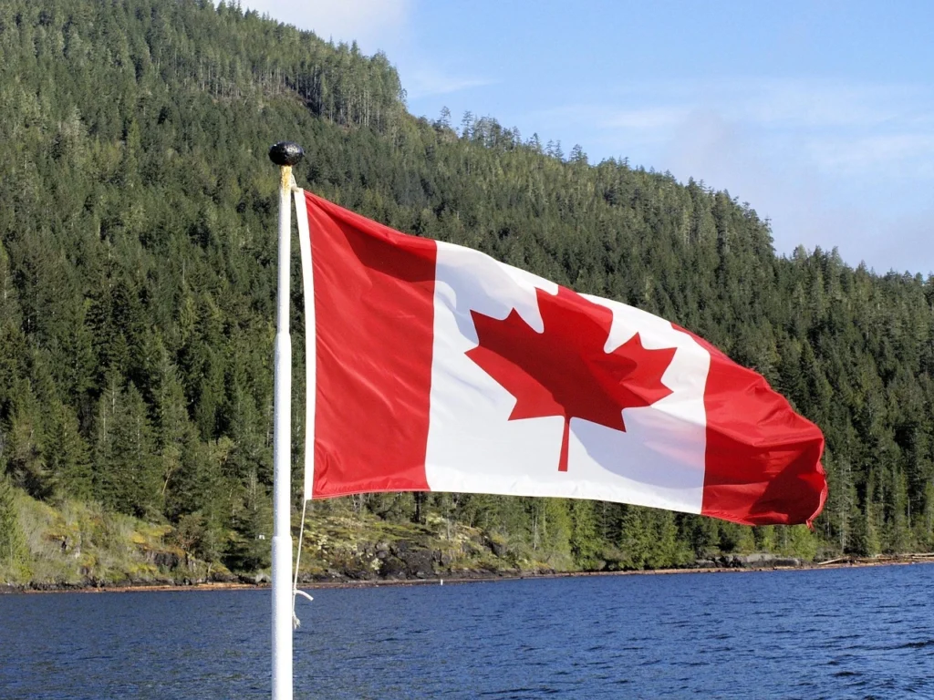 Drapeau flottant du Canada sur un fonds de forêt de de mer.