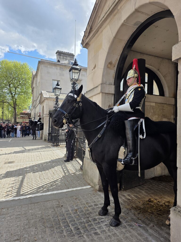 Horse Guards sur son cheval, à proximité immédiate du 10 Downing Street